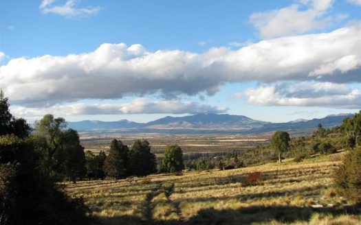 Los Cipreses 250 has. – Chubut