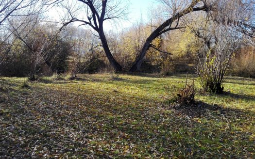 Chacra Nant y Fall – Trevelin Chubut