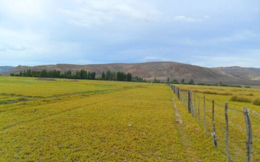 Chacra en Gualjaina – Chubut