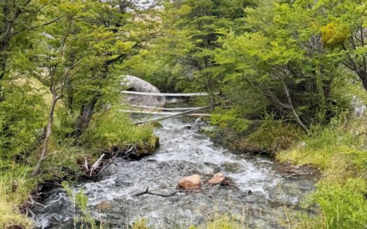 Campo con bosque nativo y arroyo