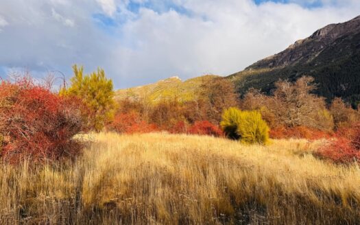 Chacra en Los Cipreses Trevelin Chubut