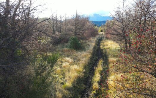 Chacra en Los Cipreses Trevelin Chubut
