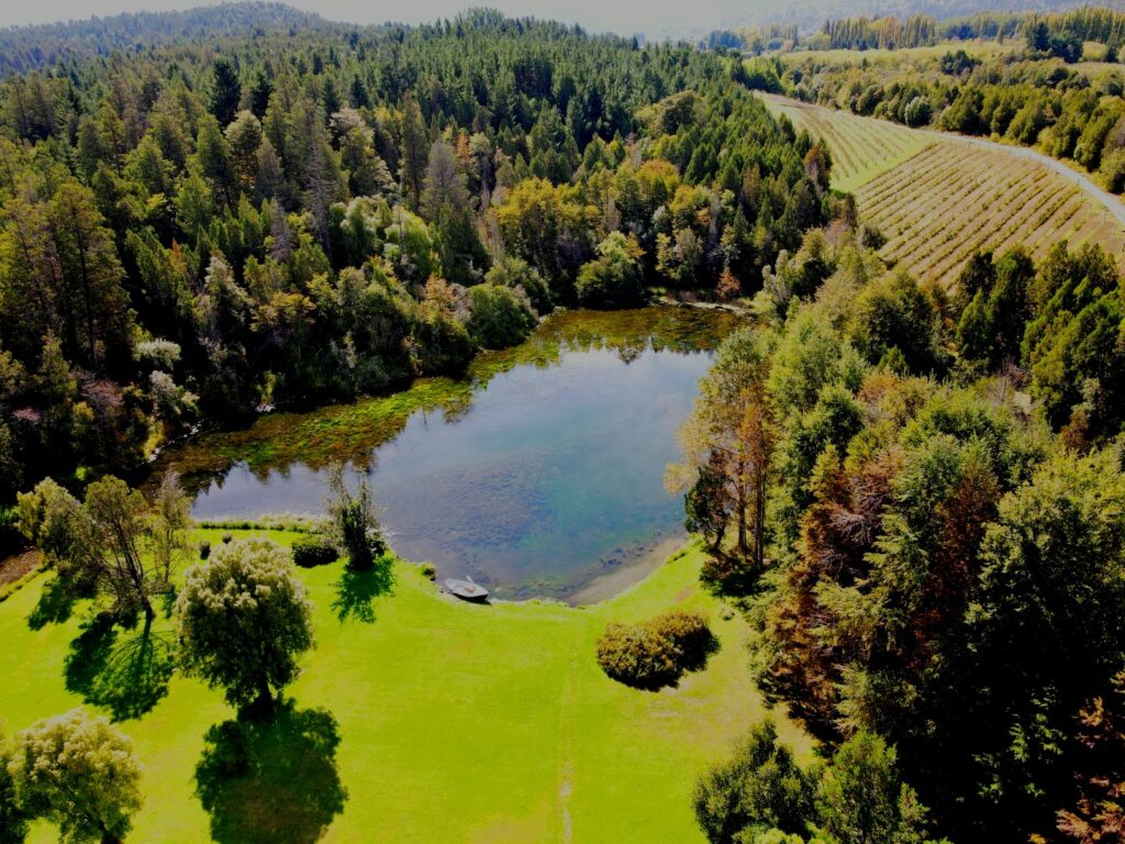 chacra lago puelo