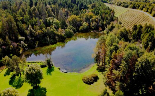 Chacra en Lago Puelo Chubut