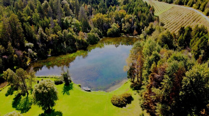 chacra lago puelo