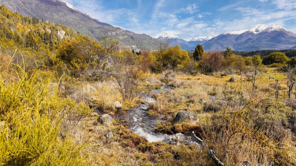 Chacra en Los Cipreses Trevelin Chubut