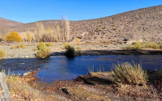 Campo 200 Has con arroyo Esquel Chubut