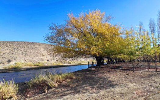 Campo 200 Has con arroyo Esquel Chubut