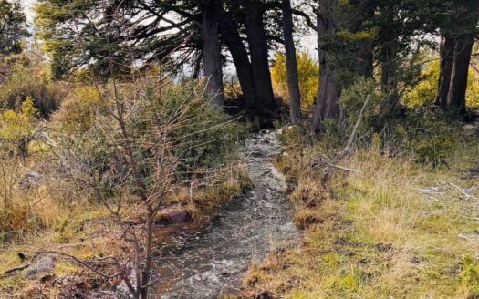 Chacra en Los Cipreses Trevelin Chubut
