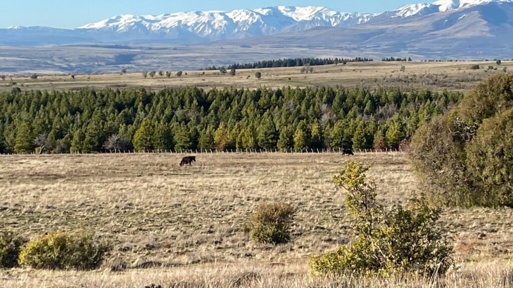 Campo en Trevelin - Chubut