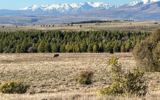 Campo en Trevelin – Chubut