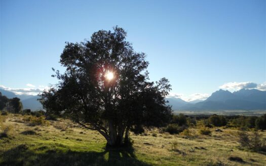 Campo en Trevelin – Chubut