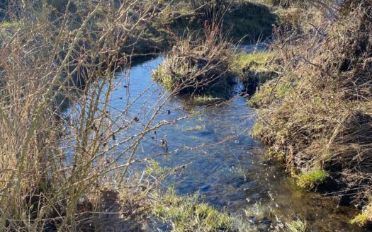 Campo en Trevelin – Chubut