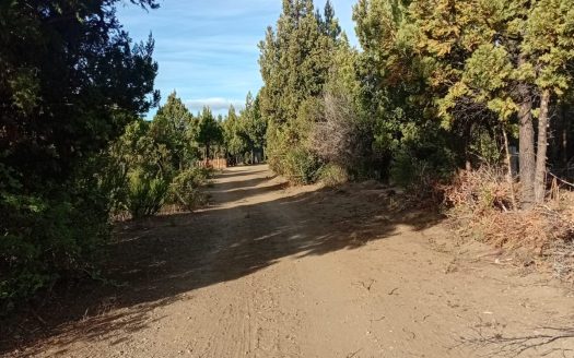 Chacra en Cholila Chubut