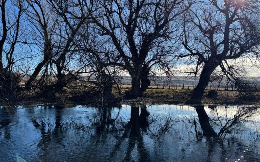 Chacra costa del Río Corintos – Trevelin – Chubut