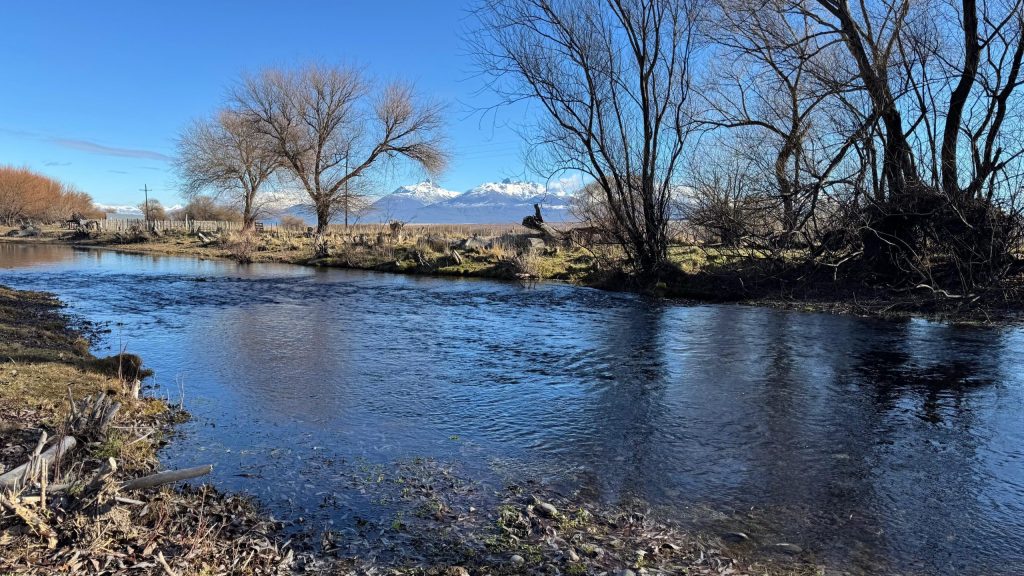 Chacra costa del Río Corintos - Trevelin - Chubut