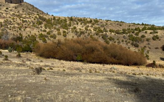 Chacra costa del Río Corintos – Trevelin – Chubut