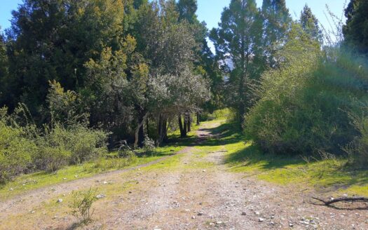 Chacra en Epuyen Chubut