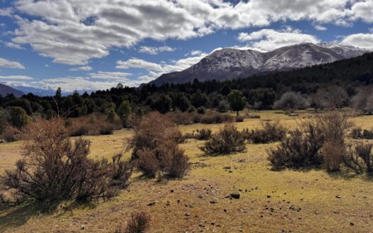 Chacra en Epuyen Chubut