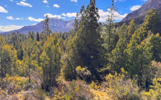 Chacra en Epuyen Chubut